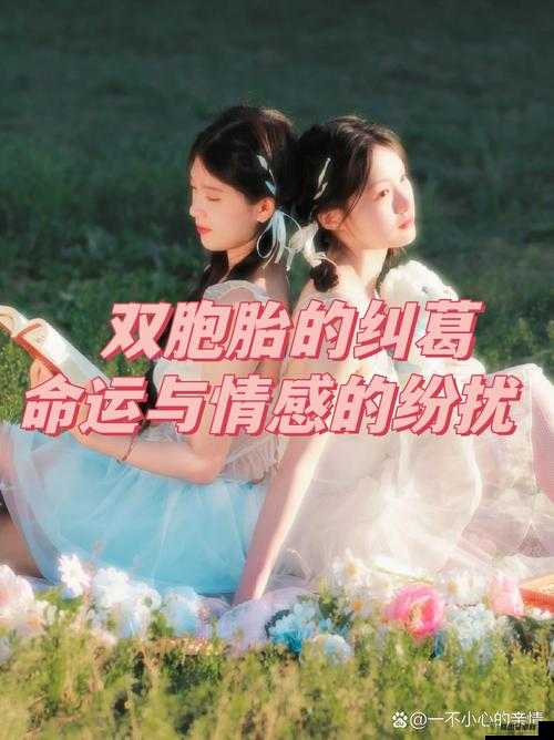 我娶了双胞胎故意认错：婚姻中的奇妙误会与情感纠葛